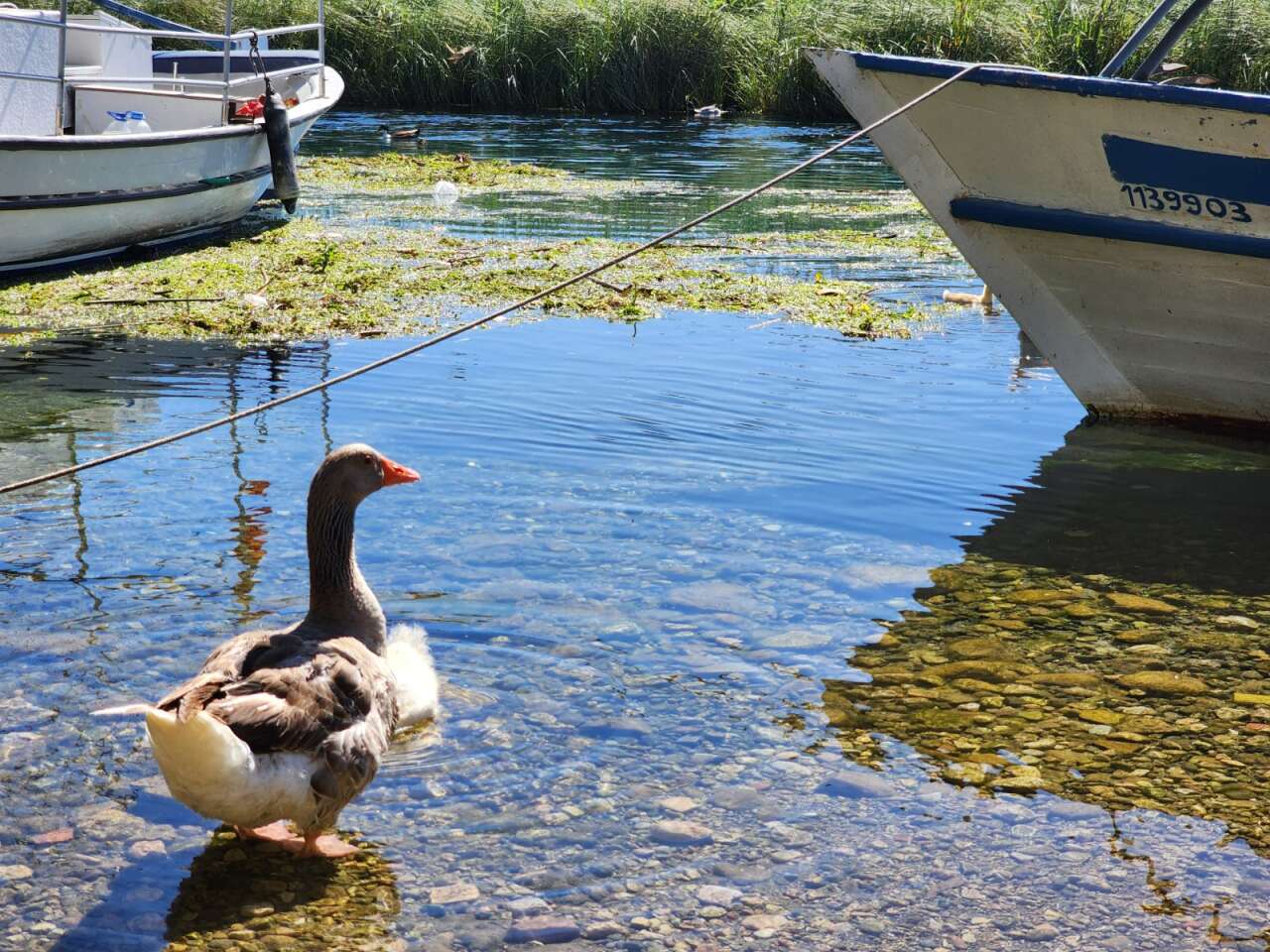 Sakin Kent Akyaka Yine Dünya Gündeminde: The Guardian Yazdı, Kitlesel Turizme Direnen Ender Sahil Kasabası Olarak Gösterdi 2